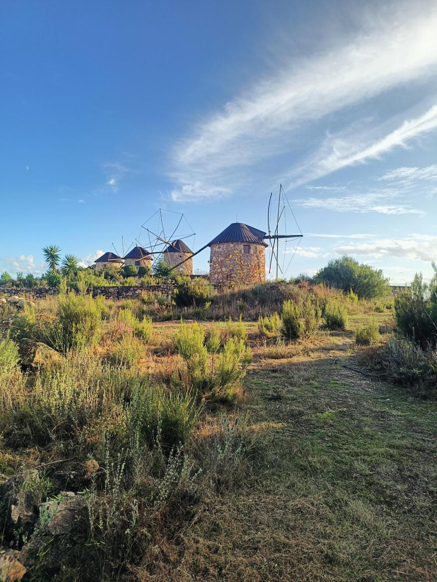 Moinho Da Alfazema Villa Penacova Exterior foto